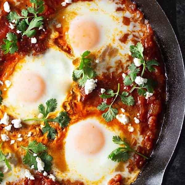 Kissan Gourmet Cooking Sauces Sale Cheap and easy dinner Save on Butter Chicken Sauce, Curry Sauce, Tikka Masala. Indian curry sauces, great for both vegetarian and non-vegetarian options.